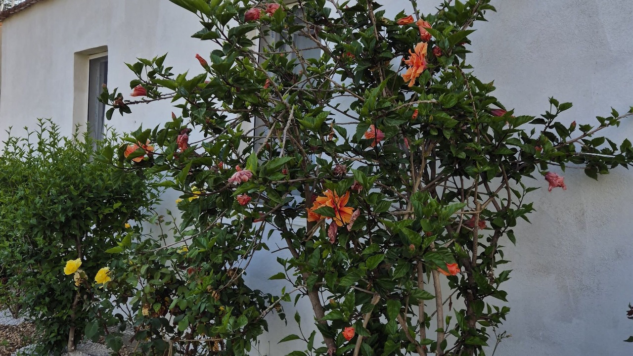 Photo of Outdoor in Belvedere Marittimo