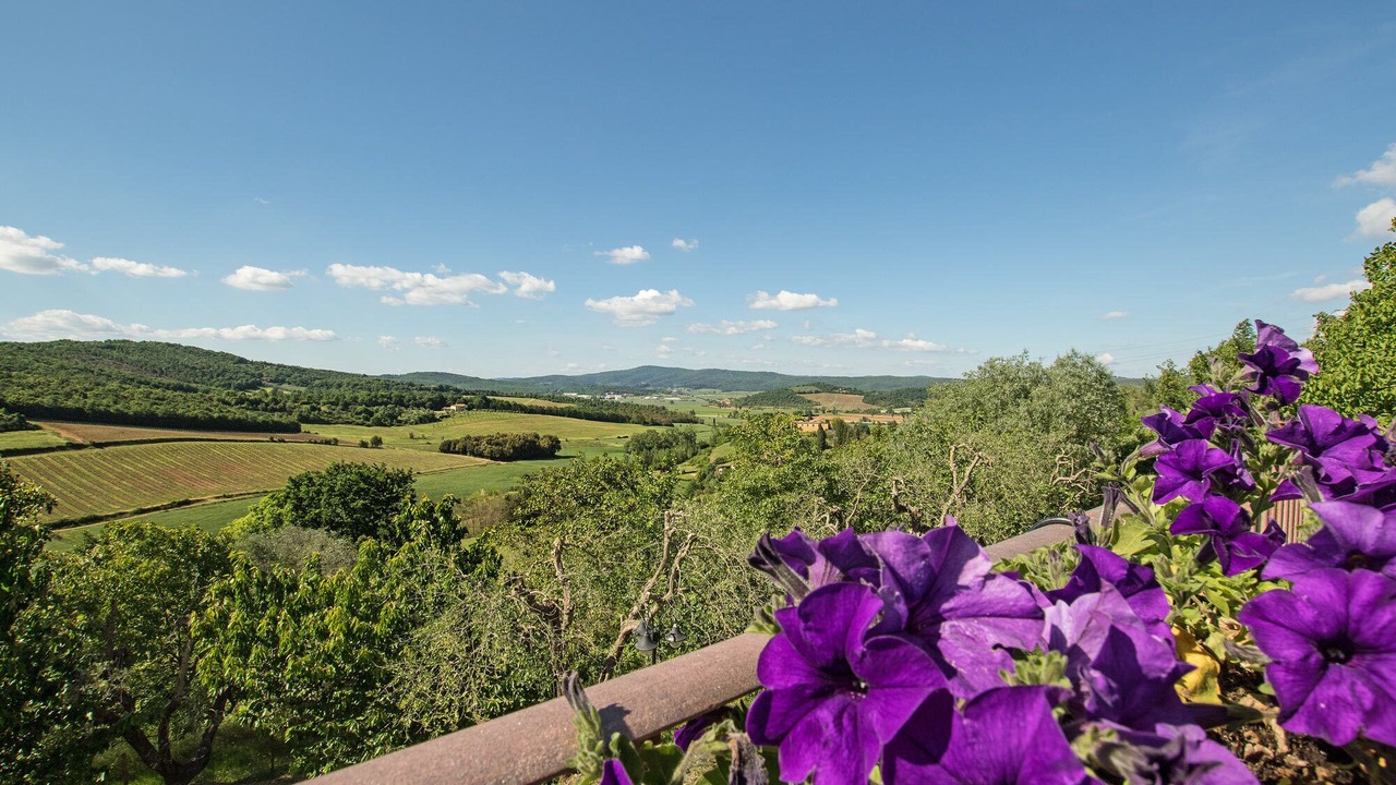 Photo of Outdoor in Rapolano Terme