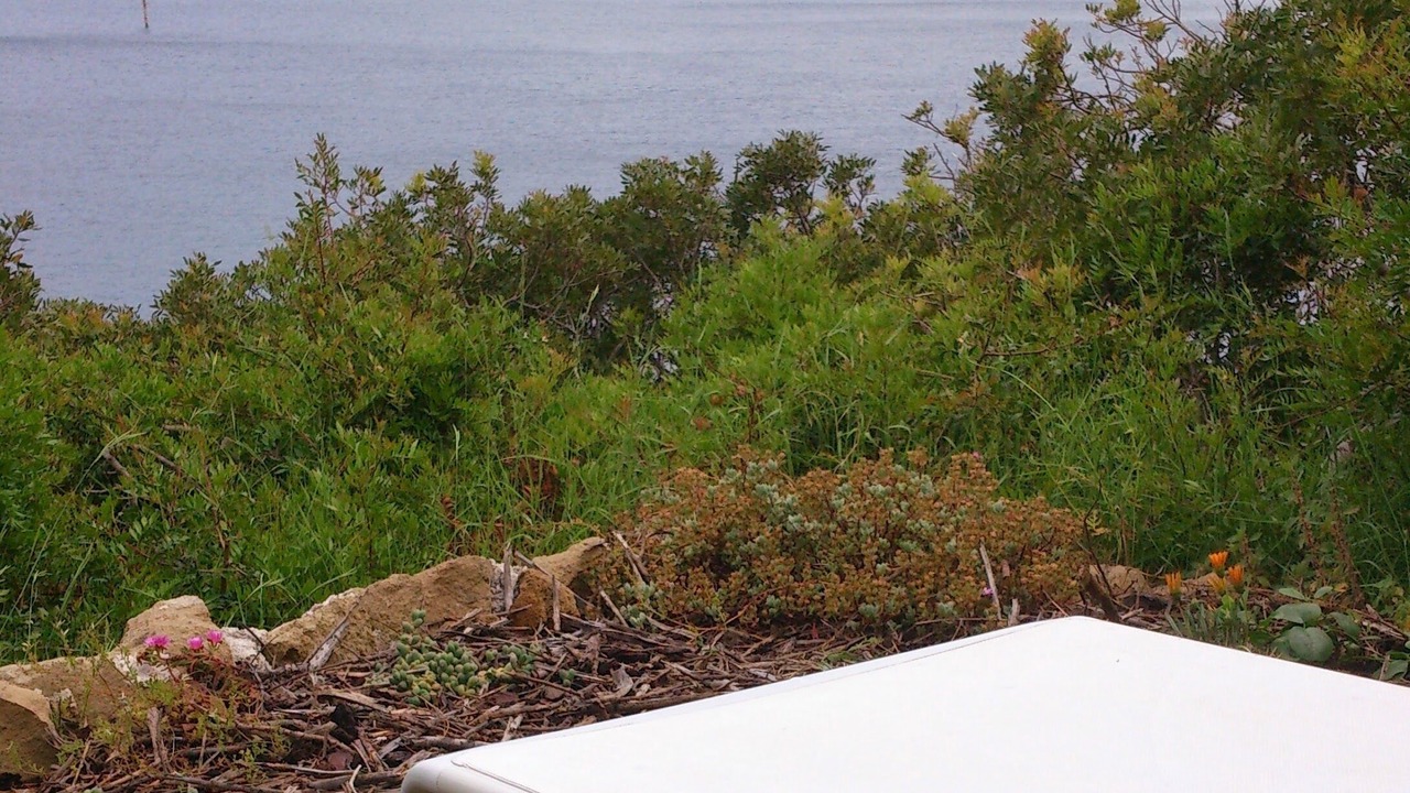 Photo of Outdoor in Procida