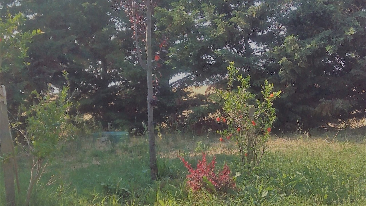 Photo of Outdoor in Chieuti