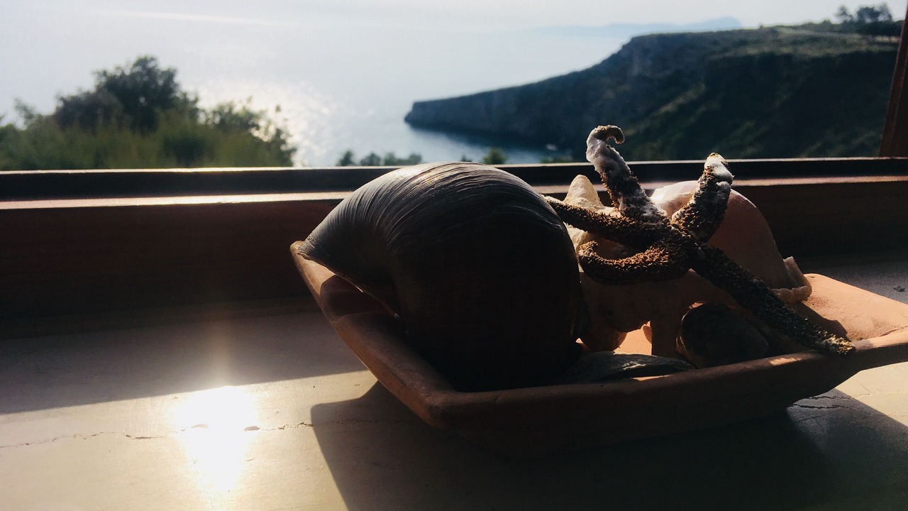 Photo of Others in Scalea