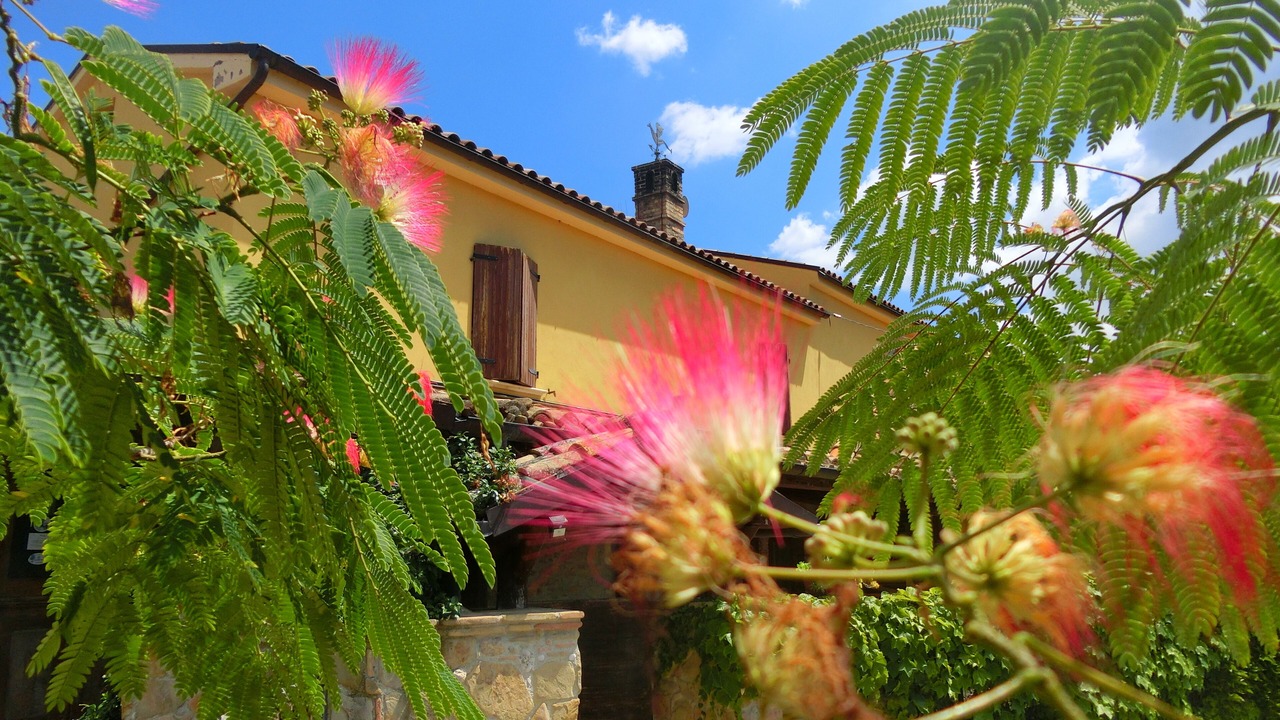 Photo of Outdoor in Castiglione Messer Raimondo