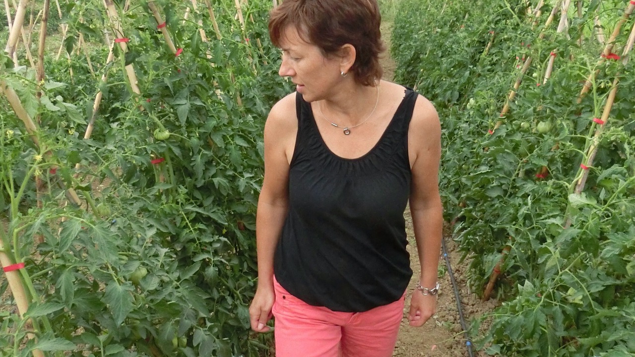 Photo of Outdoor in Castiglione Messer Raimondo