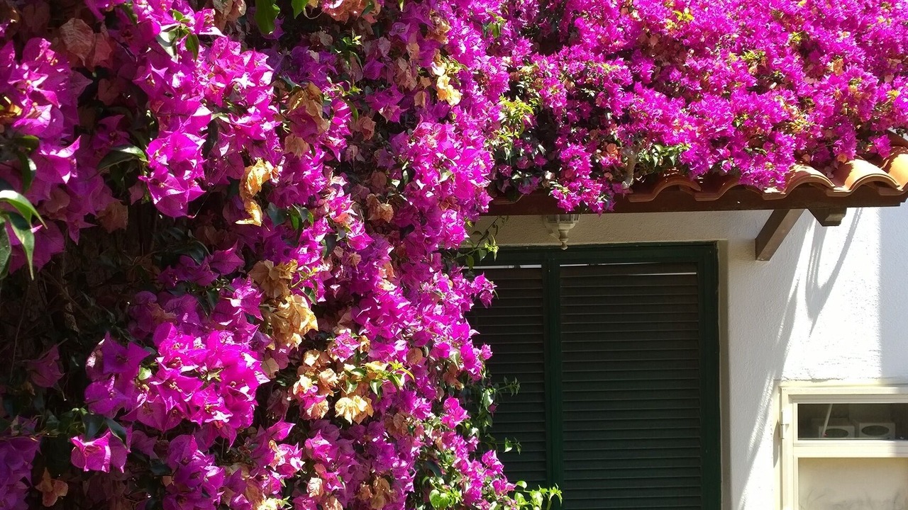 Photo of Outdoor in Barano d'Ischia