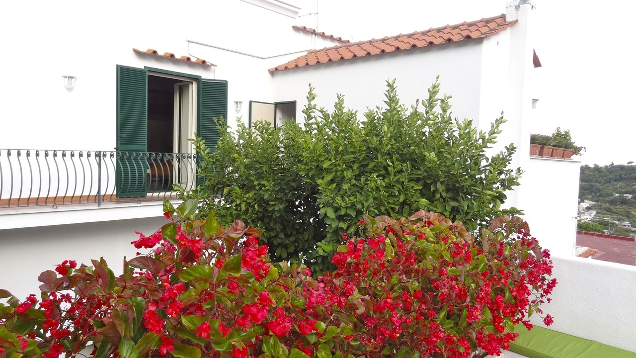 Photo of Outdoor in Barano d'Ischia