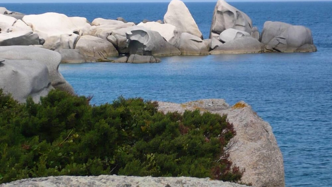 Photo of Others in Capo Testa