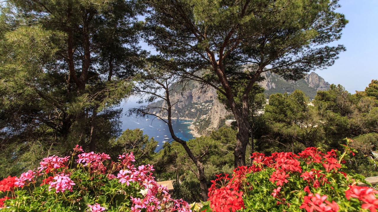 Photo of Outdoor in Capri