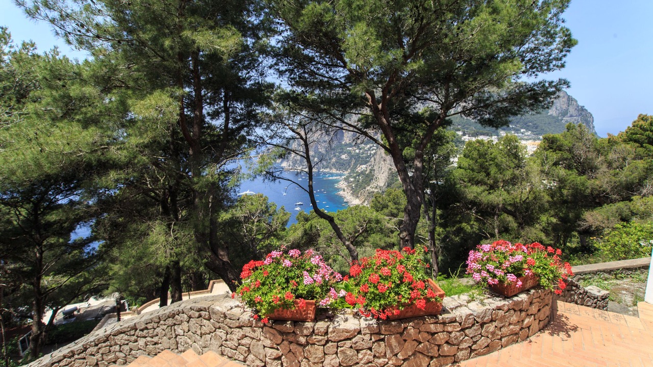 Photo of Outdoor in Capri
