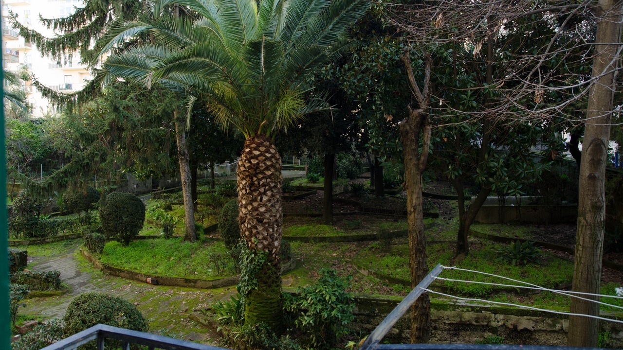 Photo of Outdoor in Vomero