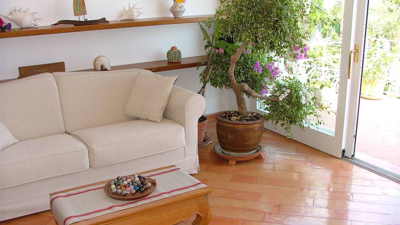 Photo of Livingroom in Montepertuso