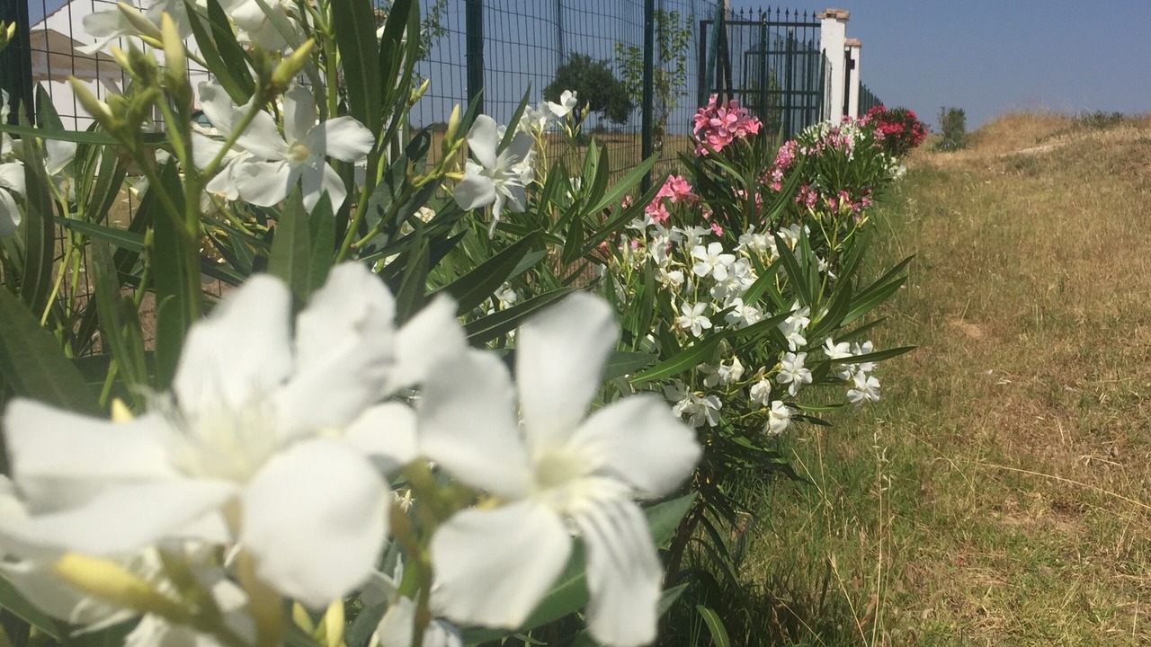 Photo of Outdoor in Pisticci