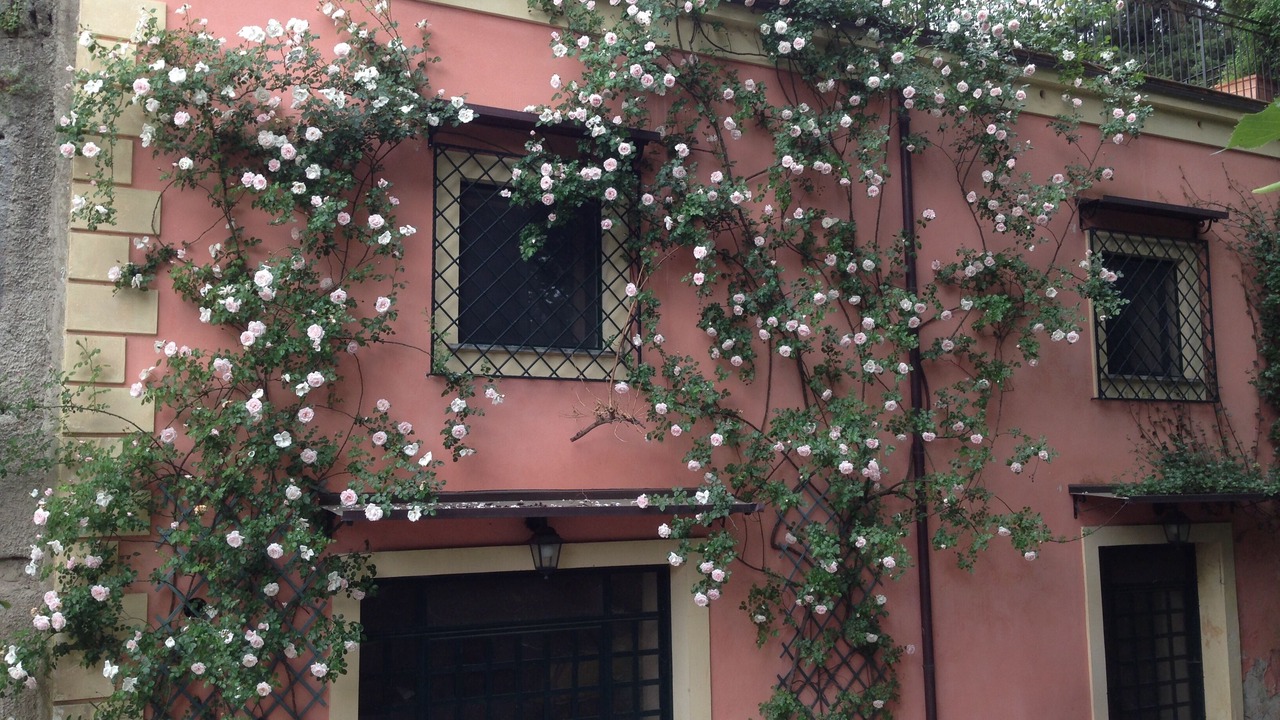 Photo of Outdoor in Nola