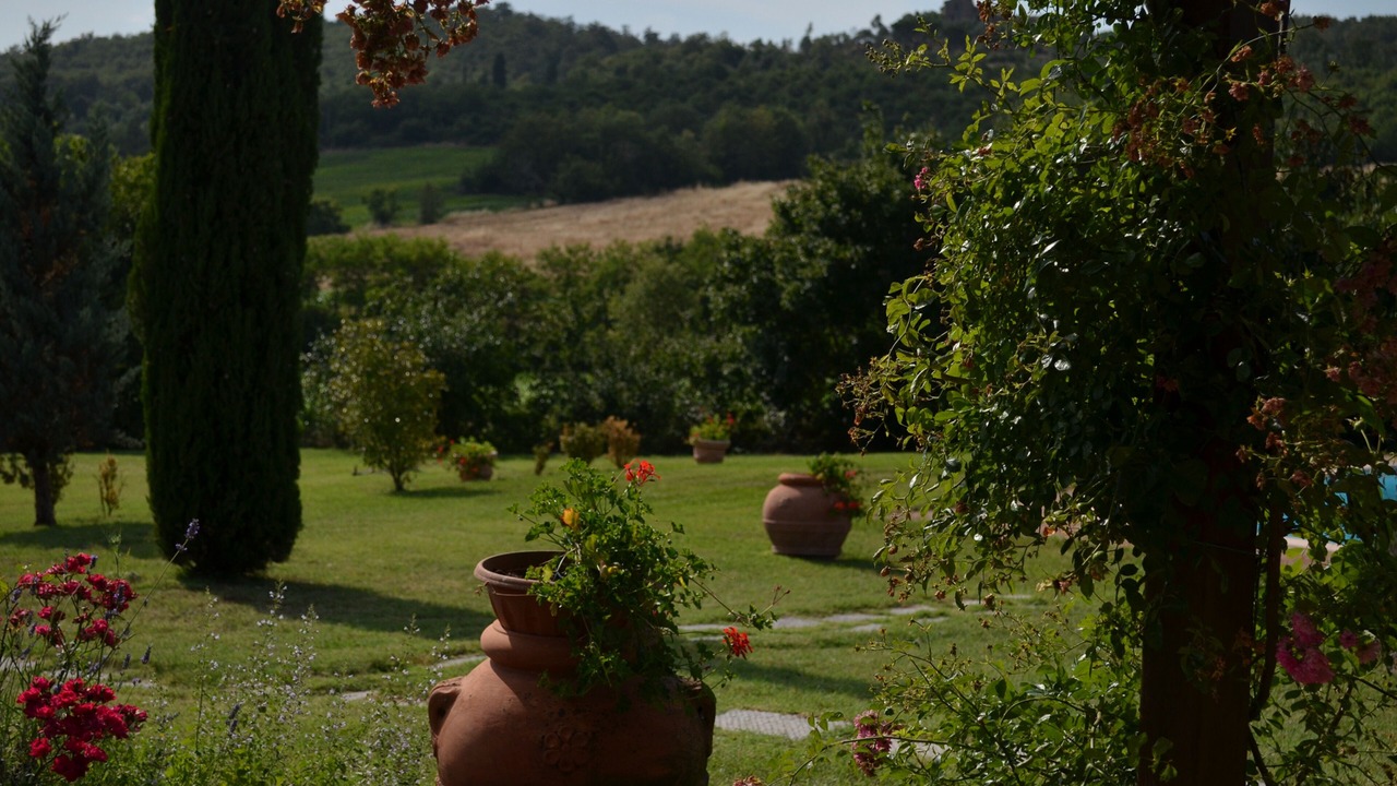 Photo of Outdoor in Lucignano
