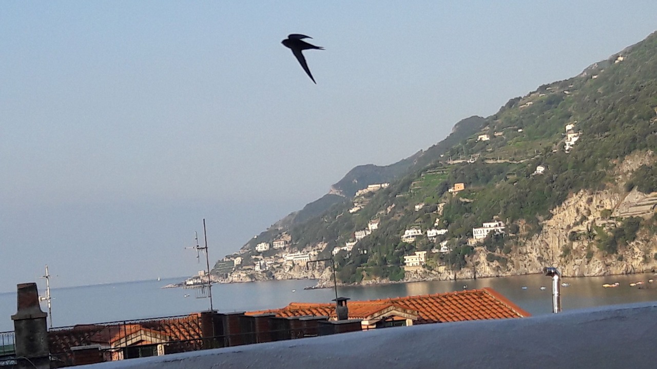 Photo of Others in Vietri sul Mare