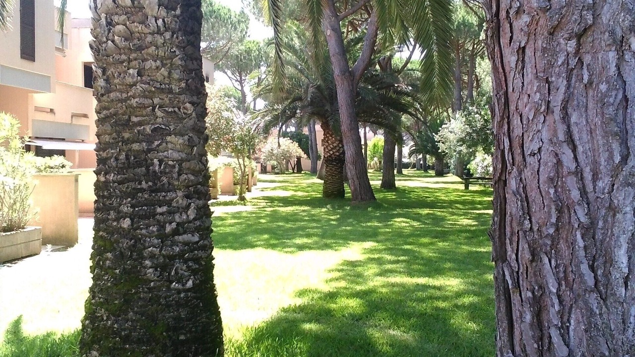 Photo of Outdoor in Principina a Mare
