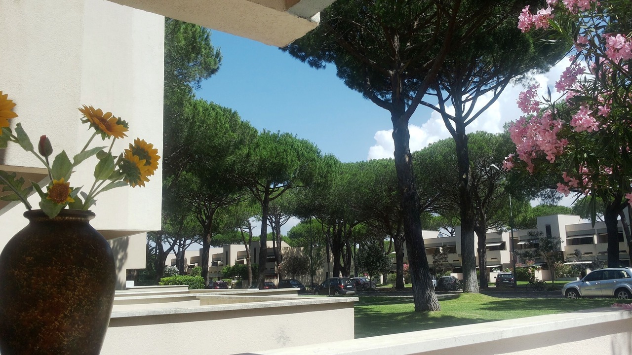 Photo of Outdoor in Principina a Mare