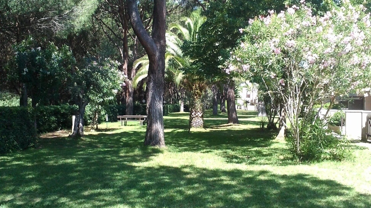 Photo of Outdoor in Principina a Mare