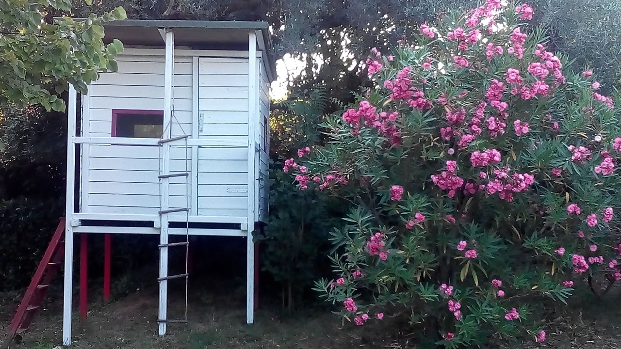 Photo of Outdoor in Monsampolo del Tronto