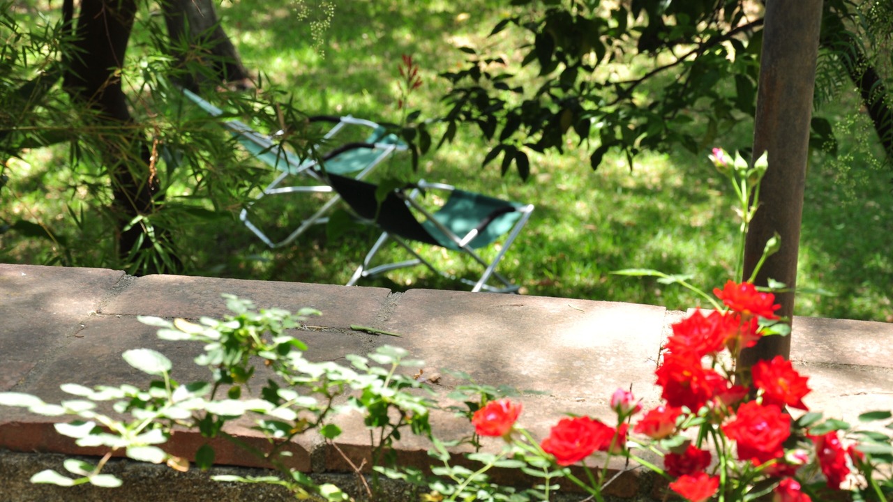 Photo of Outdoor in Lauro