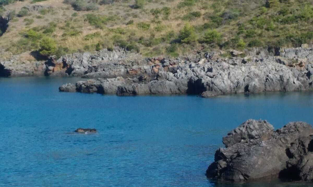 Photo of Others in Scalea