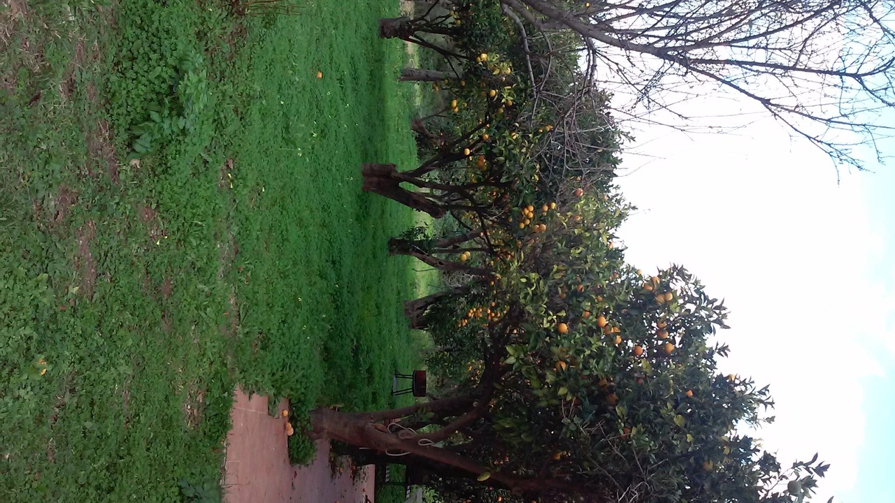 Photo of Outdoor in Parghelia