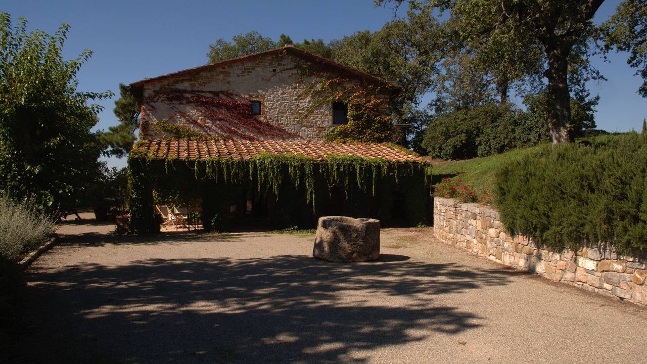 Photo of Others in Gaiole in Chianti