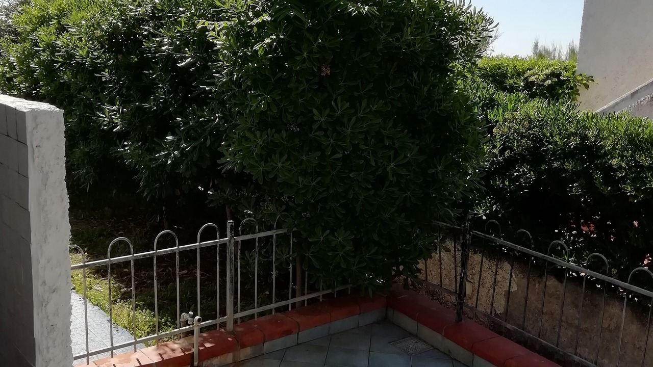Photo of Outdoor in Belvedere Marittimo