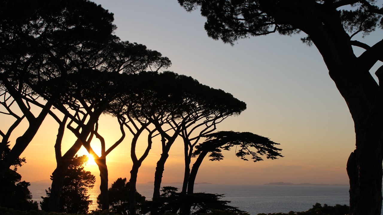 Photo of Others in Piano di Sorrento