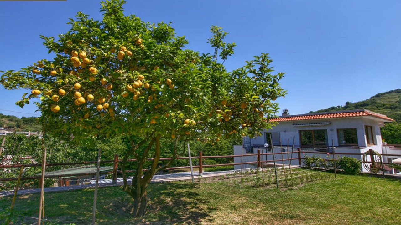 Photo of Outdoor in Barano d'Ischia