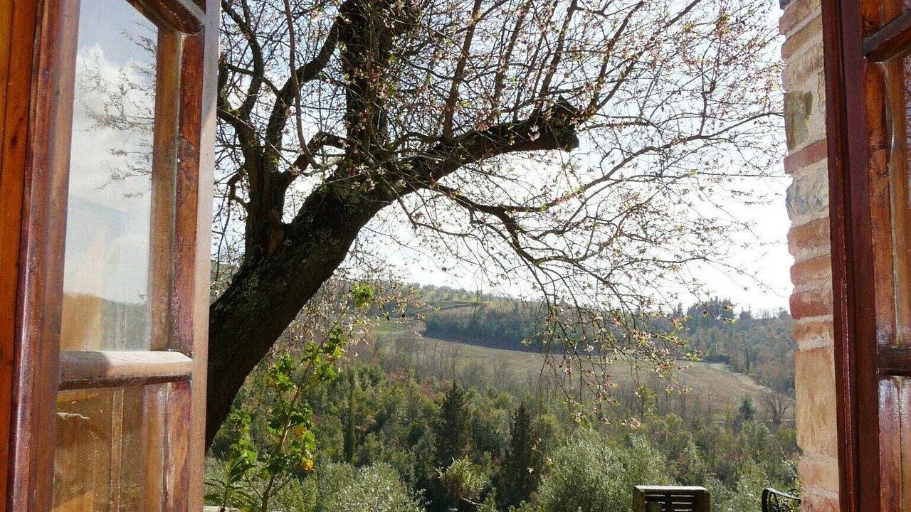 Photo of Others in Barberino Val d'Elsa
