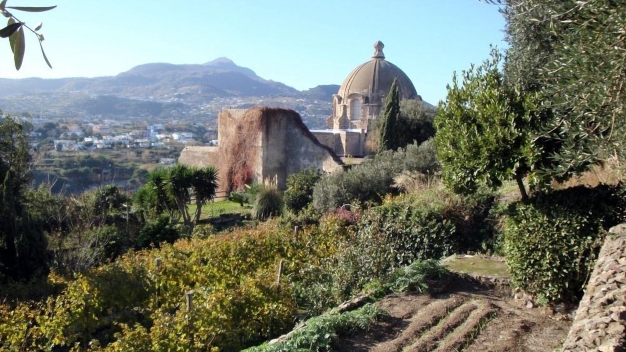 Photo of Outdoor in Ischia Porto
