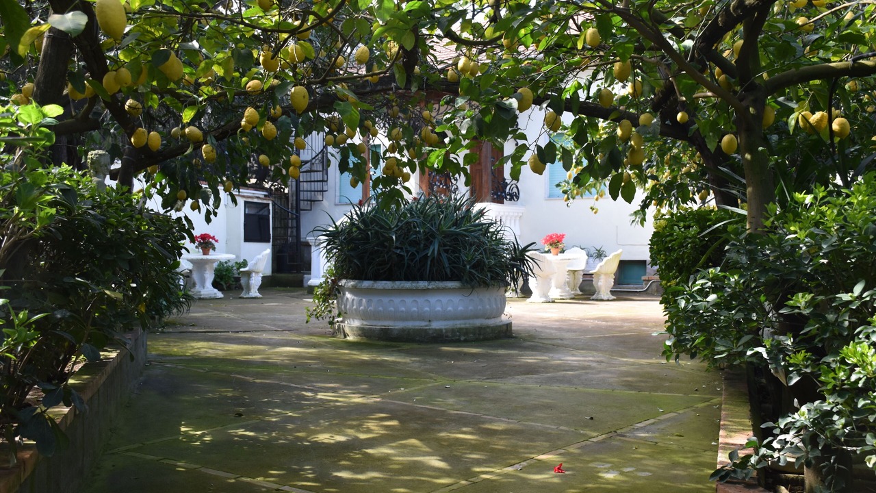 Photo of Outdoor in Massa Lubrense