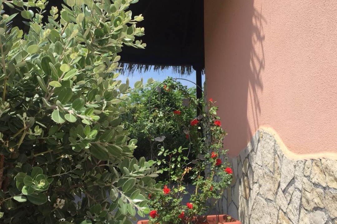 Photo of Outdoor in Diamante