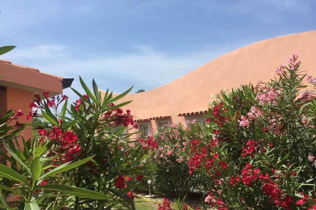Photo of Outdoor in Diamante