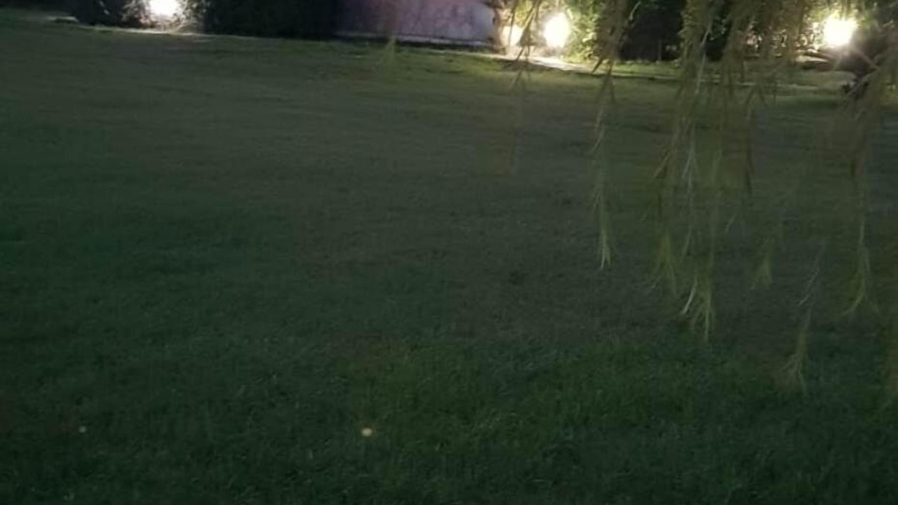 Photo of Outdoor in Diamante