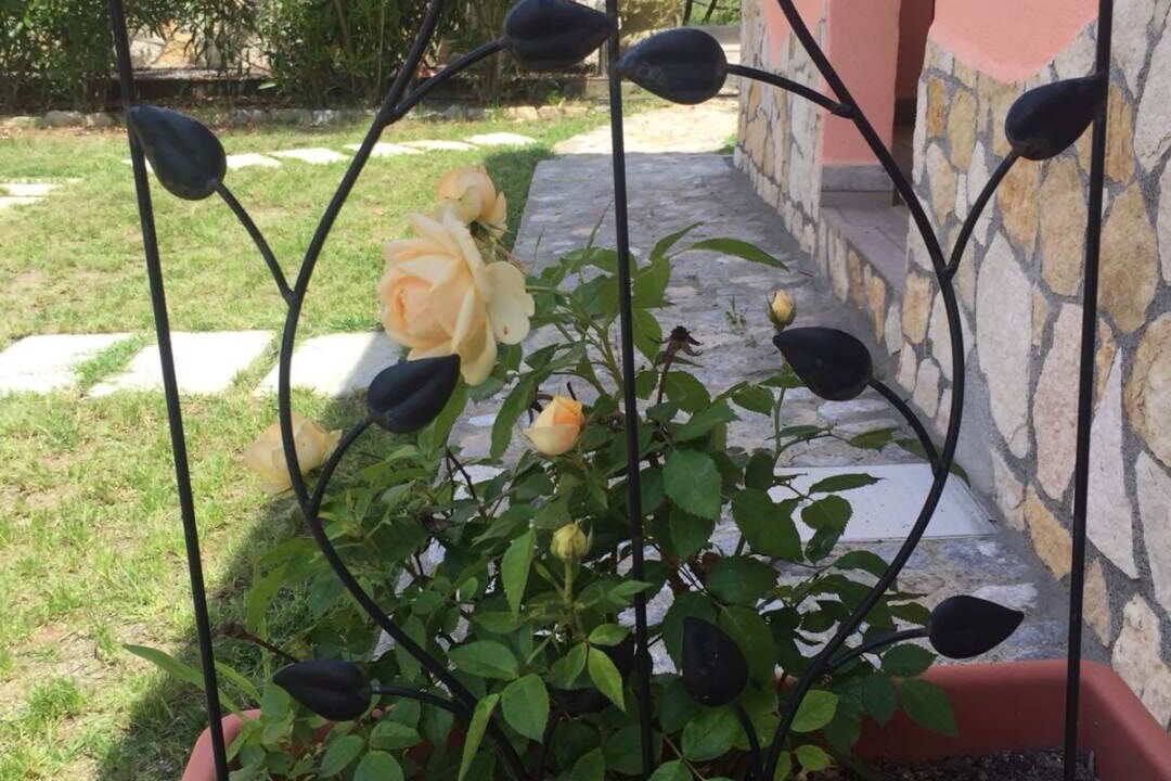 Photo of Outdoor in Diamante