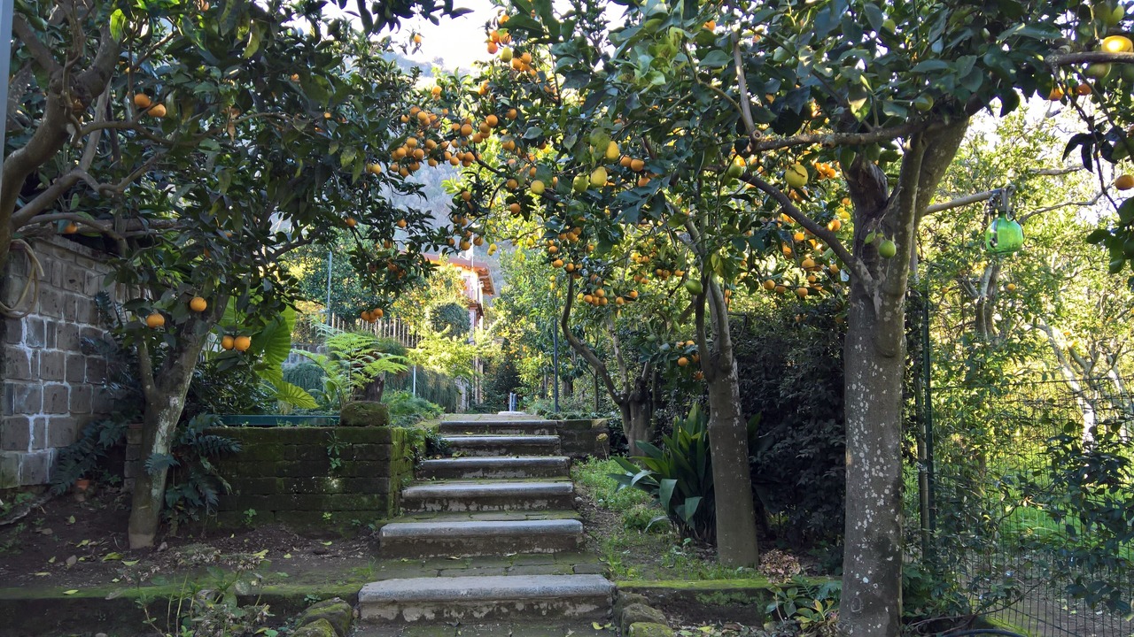 Photo of Outdoor in Sant'Agnello