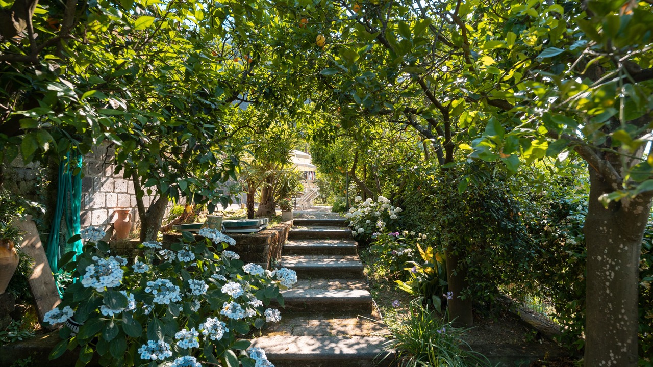 Photo of Outdoor in Sant'Agnello
