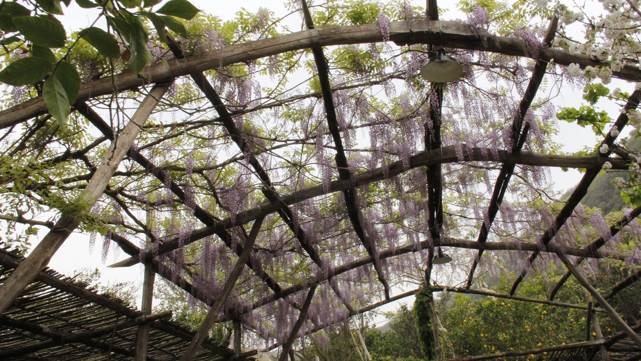 Photo of Outdoor in Sant'Agnello