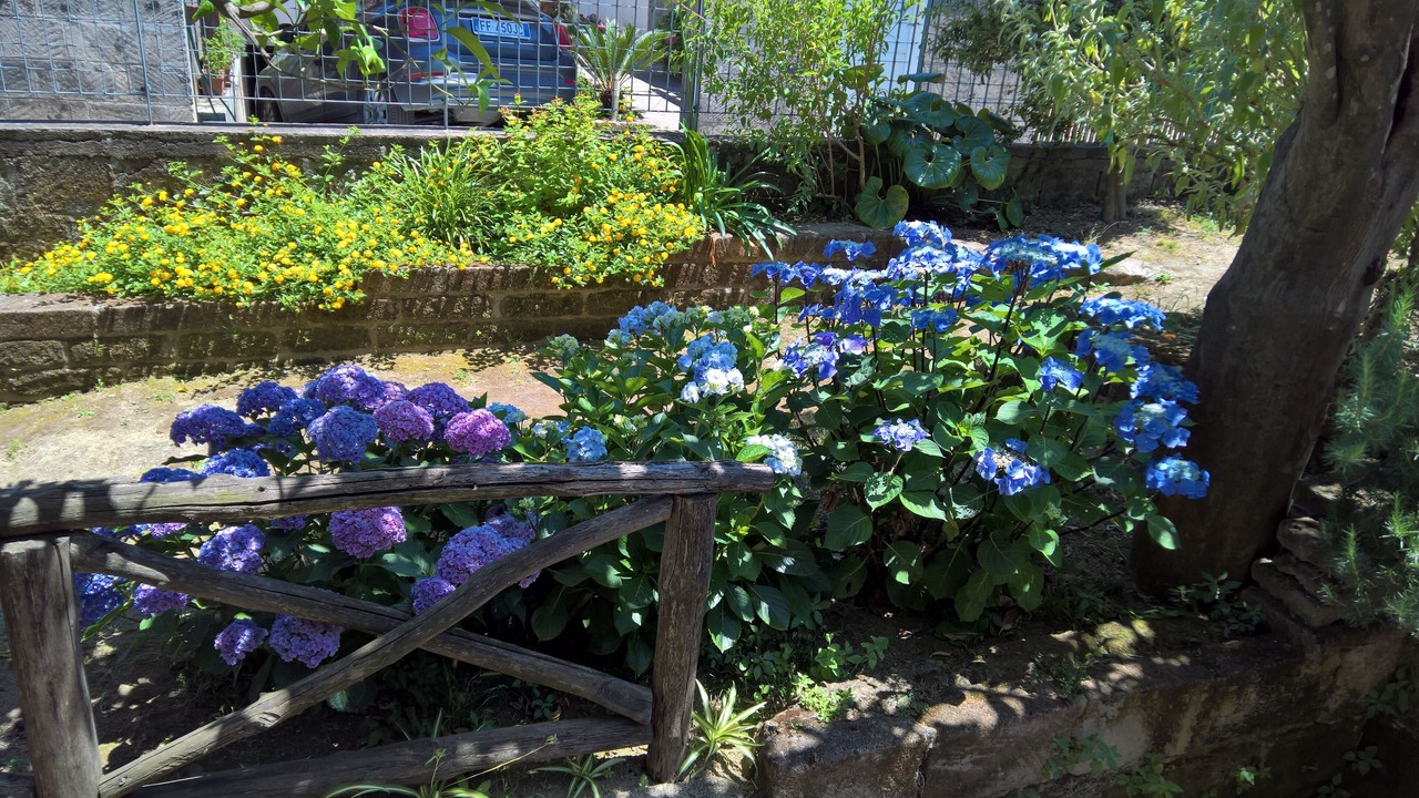 Photo of Outdoor in Sant'Agnello