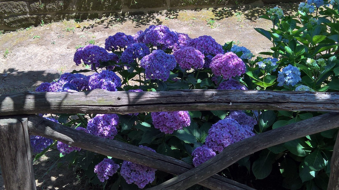 Photo of Outdoor in Sant'Agnello