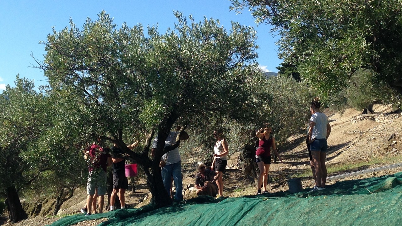 Photo of Others in Badolato