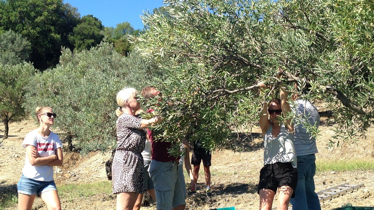 Photo of Others in Badolato