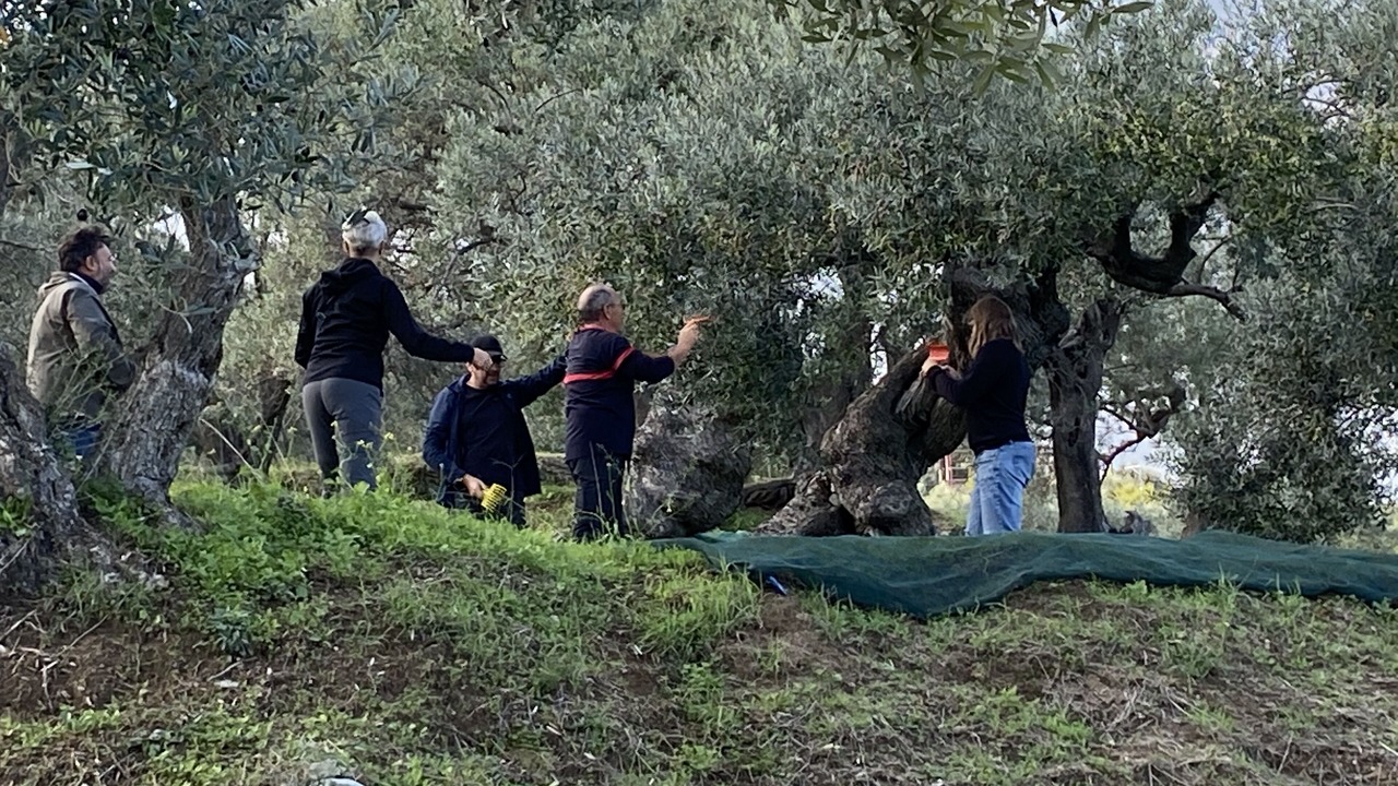 Photo of Others in Badolato