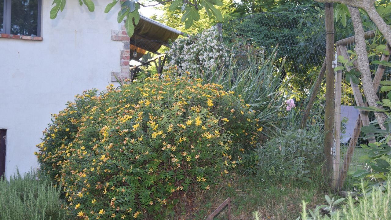Photo of Outdoor in Montepulciano