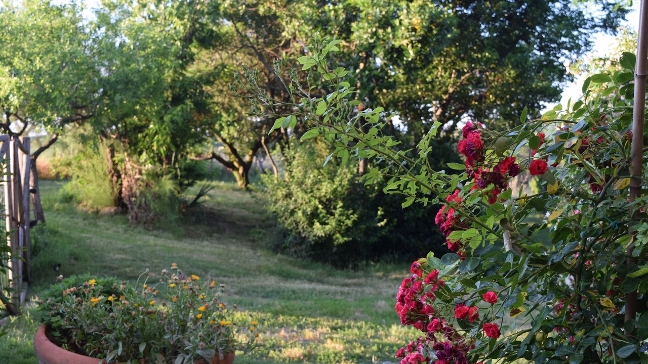 Photo of Outdoor in Montepulciano