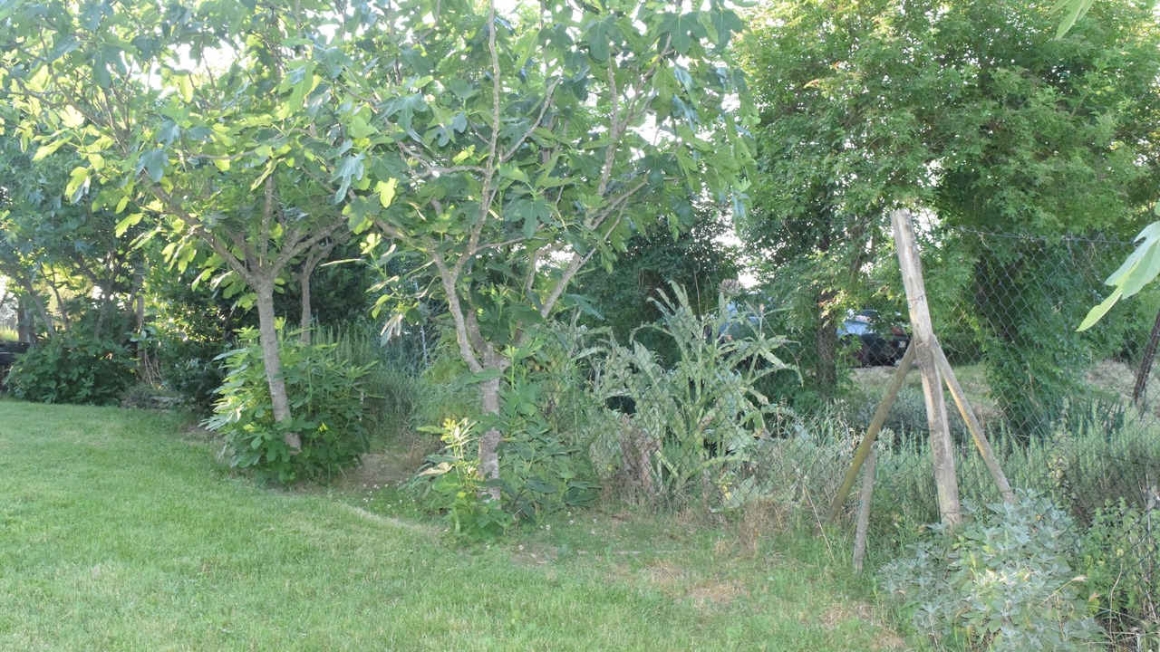 Photo of Outdoor in Montepulciano