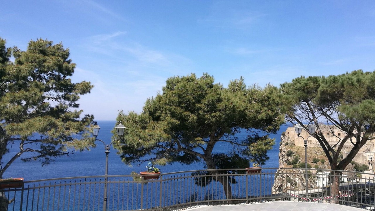 Photo of Others in Scilla