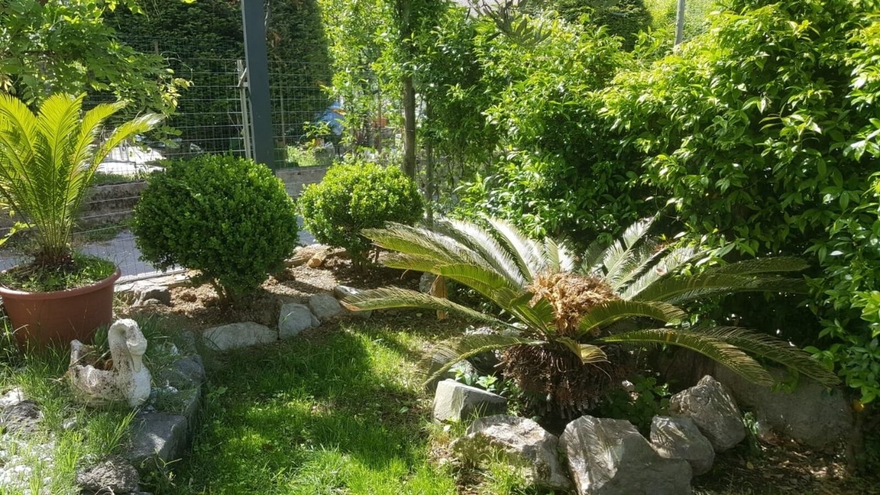 Photo of Outdoor in Piazza-Tralia-Pendolo