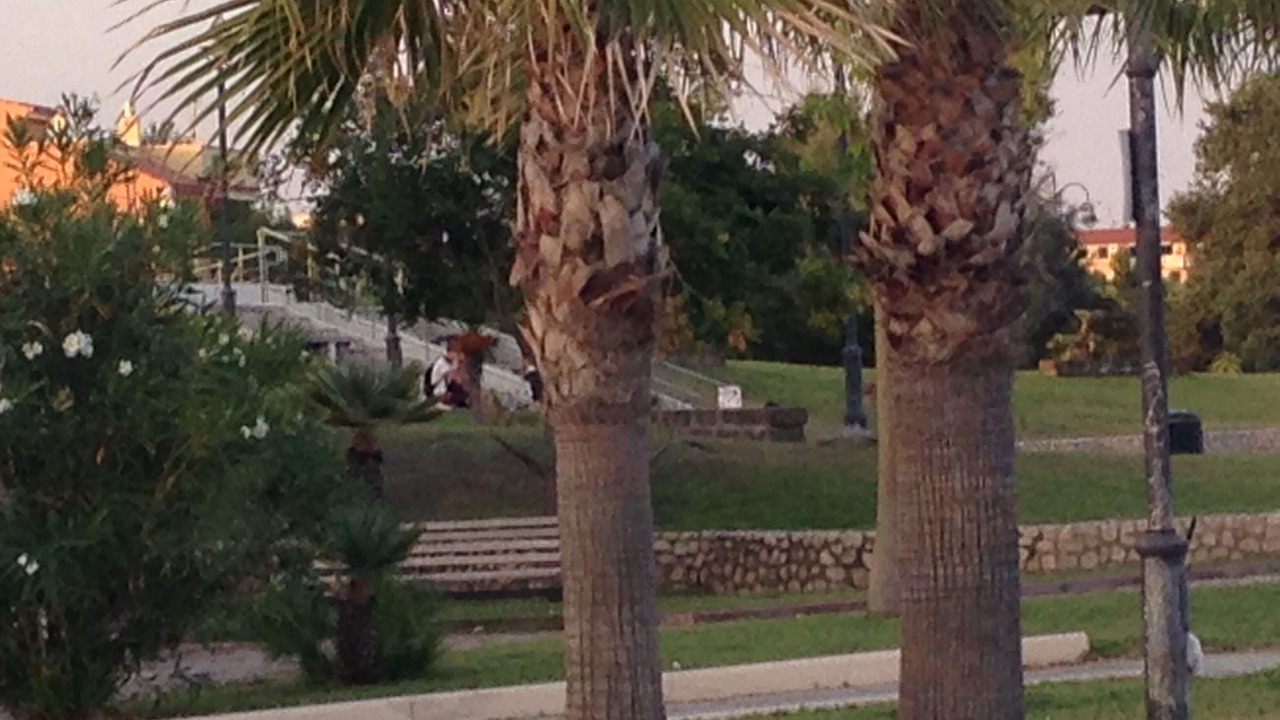Photo of Outdoor in Stignano Mare
